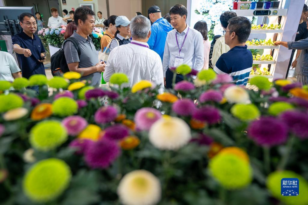 皇家金堡注册